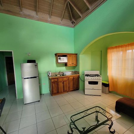 Wizzy Apartment Ocho Rios Exterior foto