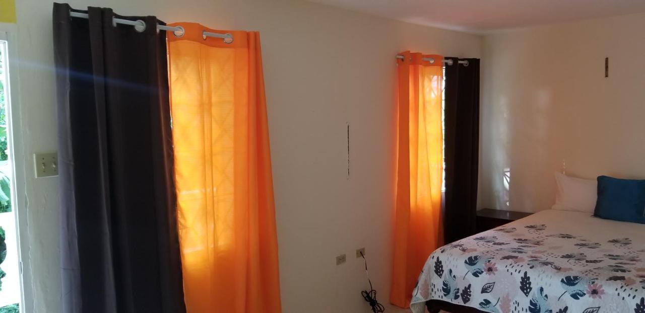 Wizzy Apartment Ocho Rios Exterior foto