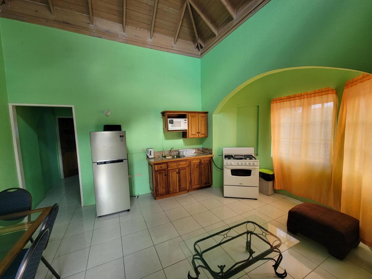Wizzy Apartment Ocho Rios Exterior foto