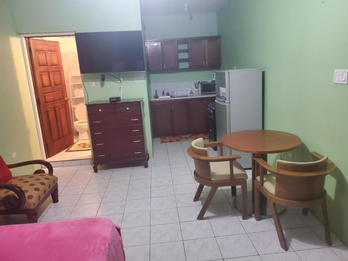 Wizzy Apartment Ocho Rios Exterior foto