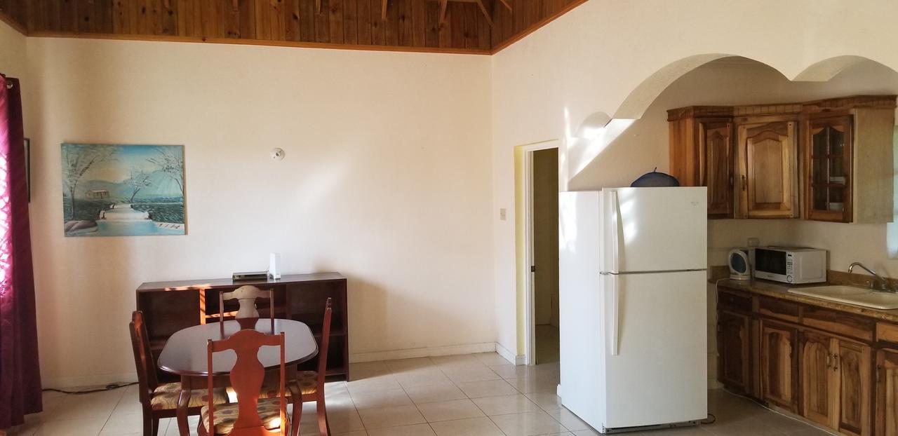 Wizzy Apartment Ocho Rios Exterior foto